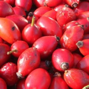Antioxidanter  - skyddar mot sjukdom