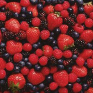 "Motgiftet" heter Antioxidanter!