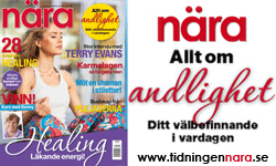 Våra Svenska blåbärspulver